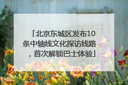 北京东城区发布10条中轴线文化探访线路，首次解锁巴士体验