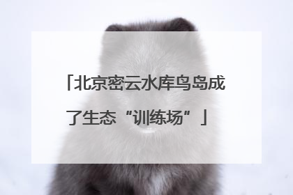 北京密云水库鸟岛成了生态“训练场”