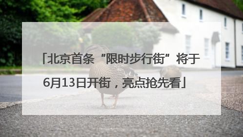 北京首条“限时步行街”将于6月13日开街，亮点抢先看