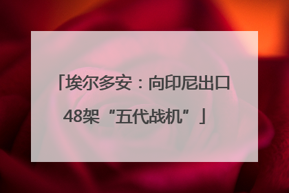 埃尔多安：向印尼出口48架“五代战机”