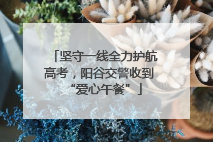 坚守一线全力护航高考，阳谷交警收到“爱心午餐”