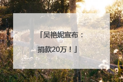 吴艳妮宣布：捐款20万！