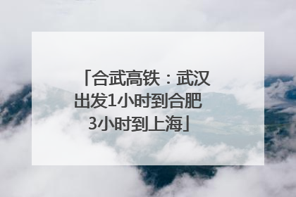 合武高铁：武汉出发1小时到合肥3小时到上海