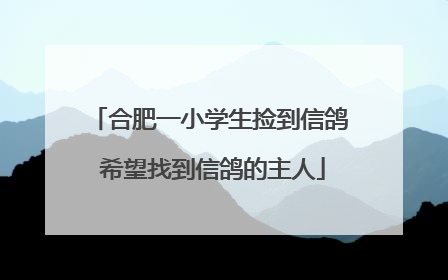 合肥一小学生捡到信鸽 希望找到信鸽的主人