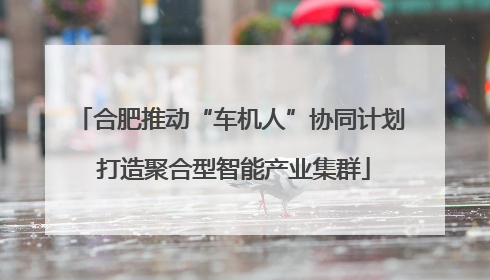 合肥推动“车机人”协同计划 打造聚合型智能产业集群