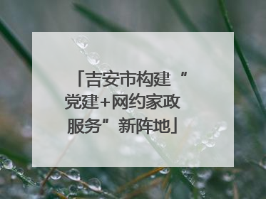 吉安市构建“党建+网约家政服务”新阵地