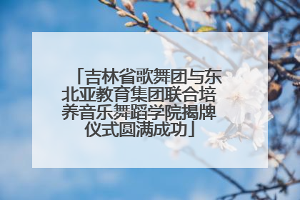 吉林省歌舞团与东北亚教育集团联合培养音乐舞蹈学院揭牌仪式圆满成功