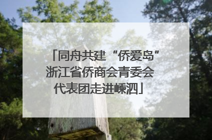 同舟共建“侨爱岛” 浙江省侨商会青委会代表团走进嵊泗