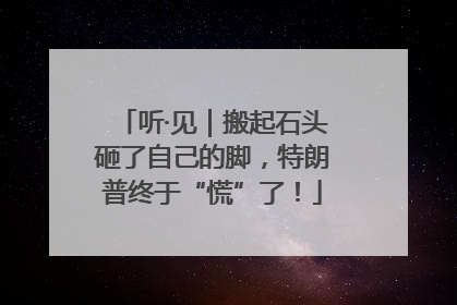 听·见｜搬起石头砸了自己的脚，特朗普终于“慌”了！