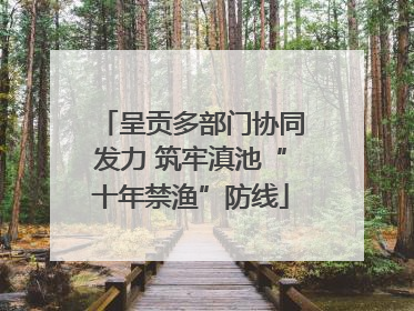 呈贡多部门协同发力 筑牢滇池“十年禁渔”防线