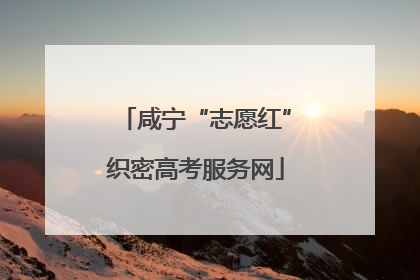 咸宁“志愿红”织密高考服务网