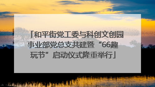 和平街党工委与科创文创园事业部党总支共建暨“66趣玩节”启动仪式隆重举行