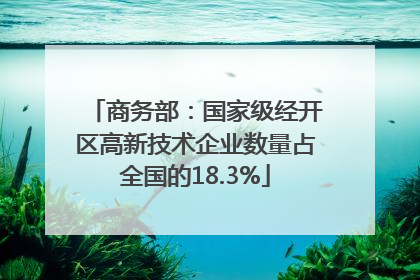 商务部：国家级经开区高新技术企业数量占全国的18.3%