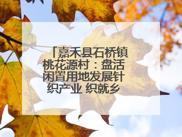 嘉禾县石桥镇桃花源村：盘活闲置用地发展针织产业 织就乡村振兴新图景