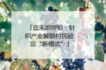 嘉禾坦坪镇：针织产业解锁村民致富“新模式”