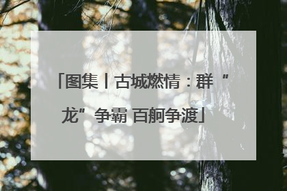 图集丨古城燃情：群“龙”争霸 百舸争渡