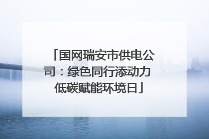 国网瑞安市供电公司：绿色同行添动力 低碳赋能环境日