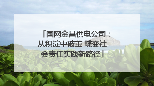 国网金昌供电公司：从积淀中破茧 蝶变社会责任实践新路径