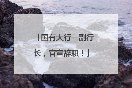 国有大行一副行长，官宣辞职！
