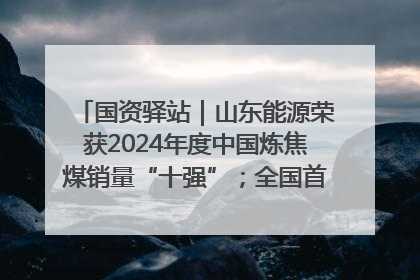 国资驿站｜山东能源荣获2024年度中国炼焦煤销量“十强”；全国首例铁路盖上智慧物流园钢结构主体完工