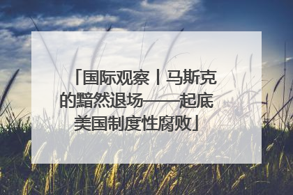 国际观察丨马斯克的黯然退场——起底美国制度性腐败