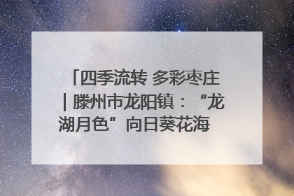 四季流转 多彩枣庄｜滕州市龙阳镇：“龙湖月色”向日葵花海 绘就乡村振兴新画卷