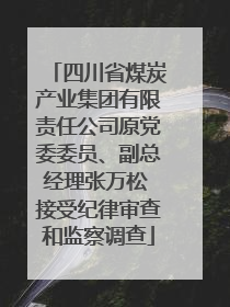 四川省煤炭产业集团有限责任公司原党委委员、副总经理张万松 接受纪律审查和监察调查
