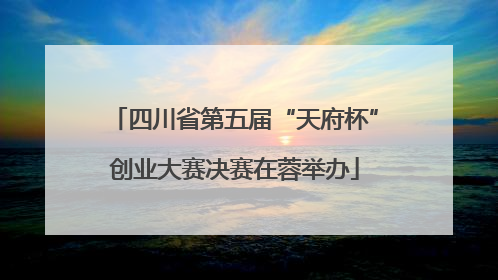 四川省第五届“天府杯”创业大赛决赛在蓉举办