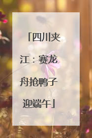 四川夹江：赛龙舟抢鸭子迎端午