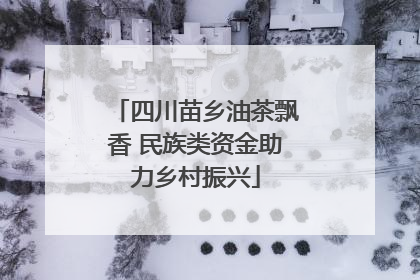 四川苗乡油茶飘香 民族类资金助力乡村振兴