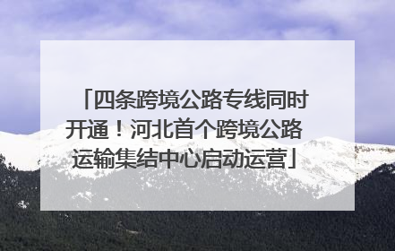 四条跨境公路专线同时开通！河北首个跨境公路运输集结中心启动运营