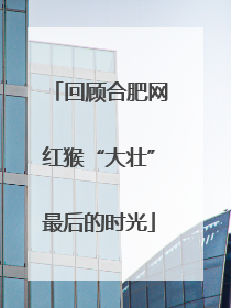 回顾合肥网红猴“大壮”最后的时光