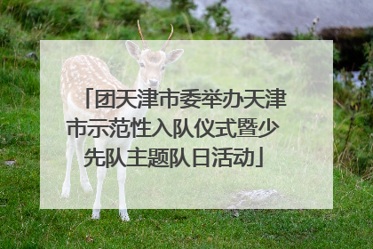 团天津市委举办天津市示范性入队仪式暨少先队主题队日活动