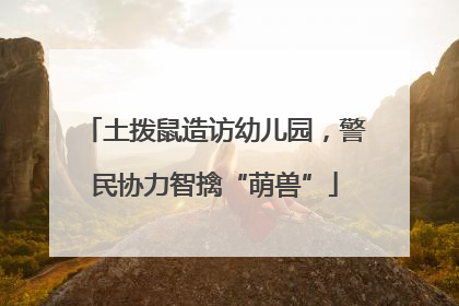 土拨鼠造访幼儿园，警民协力智擒“萌兽”