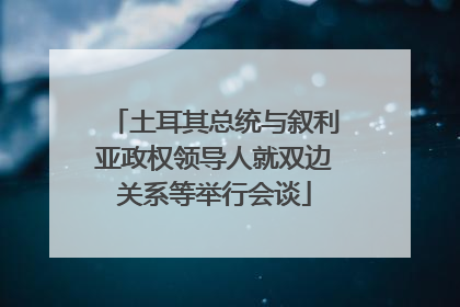 土耳其总统与叙利亚政权领导人就双边关系等举行会谈