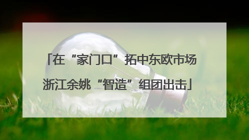 在“家门口”拓中东欧市场 浙江余姚“智造”组团出击