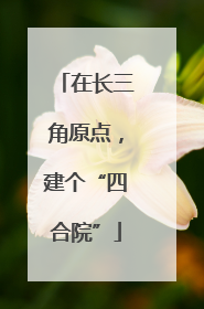 在长三角原点，建个“四合院”