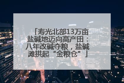 寿光北部13万亩盐碱地迈向高产田：八年改碱夺粮，盐碱滩拱起“金粮仓”