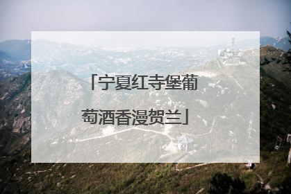 宁夏红寺堡葡萄酒香漫贺兰