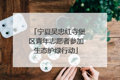 宁夏吴忠红寺堡区青年志愿者参加生态护绿行动