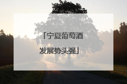 宁夏葡萄酒发展势头强