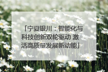 宁夏银川：智能化与科技创新双轮驱动 激活高质量发展新动能