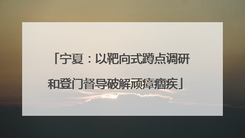 宁夏：以靶向式蹲点调研和登门督导破解顽瘴痼疾