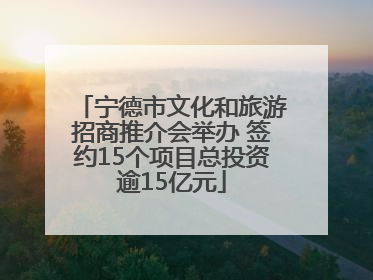 宁德市文化和旅游招商推介会举办 签约15个项目总投资逾15亿元
