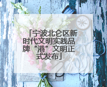 宁波北仑区新时代文明实践品牌“港”文明正式发布