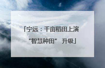 宁远：千亩稻田上演 “智慧种田” 升级