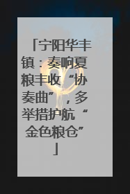 宁阳华丰镇：奏响夏粮丰收“协奏曲”，多举措护航“金色粮仓”