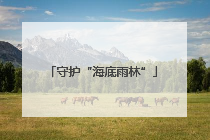 守护“海底雨林”