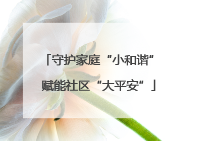 守护家庭“小和谐” 赋能社区“大平安”