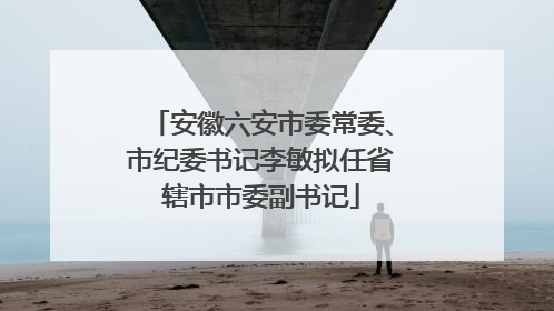 安徽六安市委常委、市纪委书记李敏拟任省辖市市委副书记